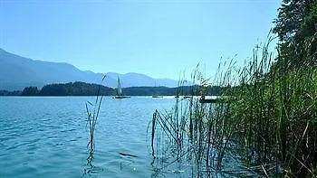 Am